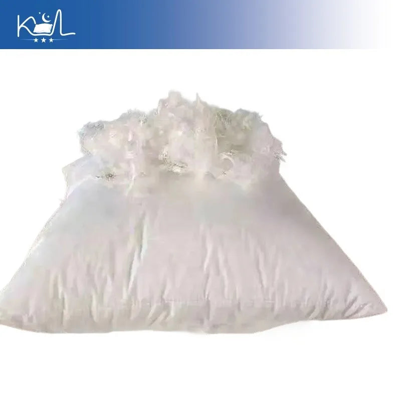 White Goose Down & Feather Pillow