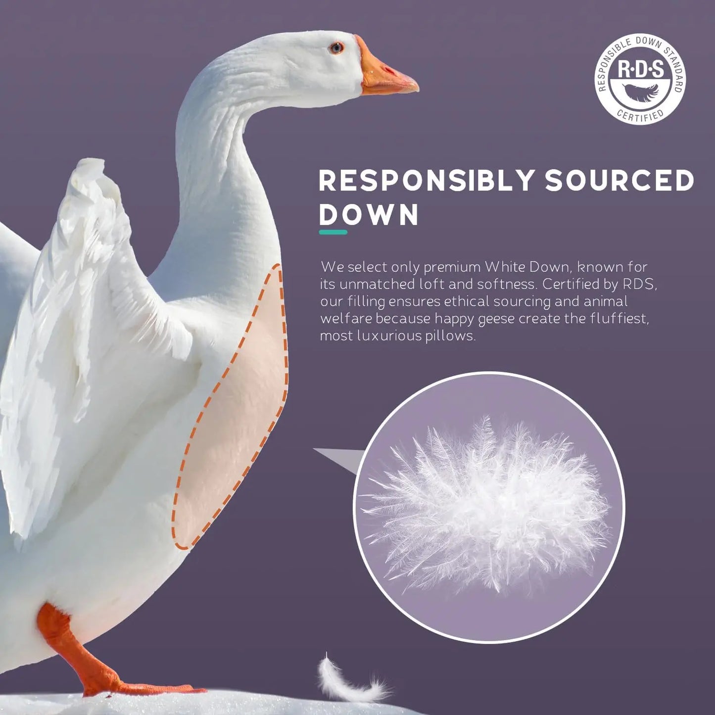 White Goose Down Pillow