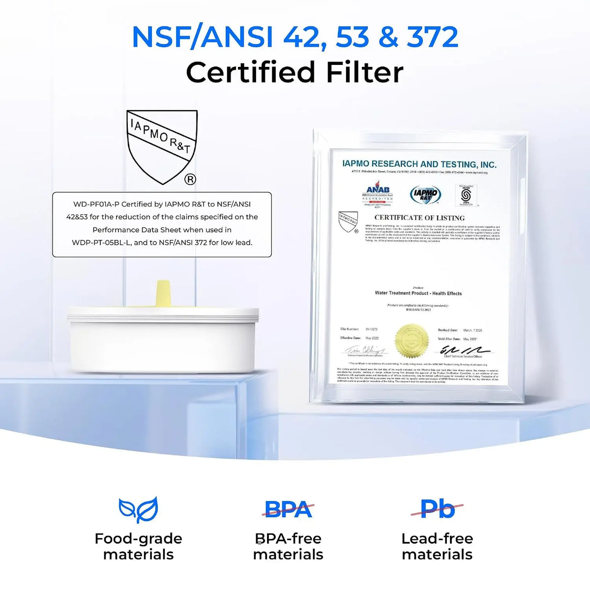 10-Cup Large Glass Water Filter Pitcher