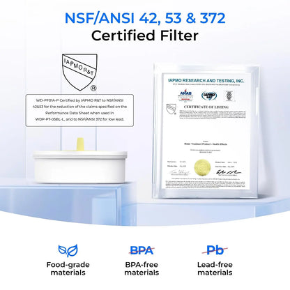 10-Cup Large Glass Water Filter Pitcher