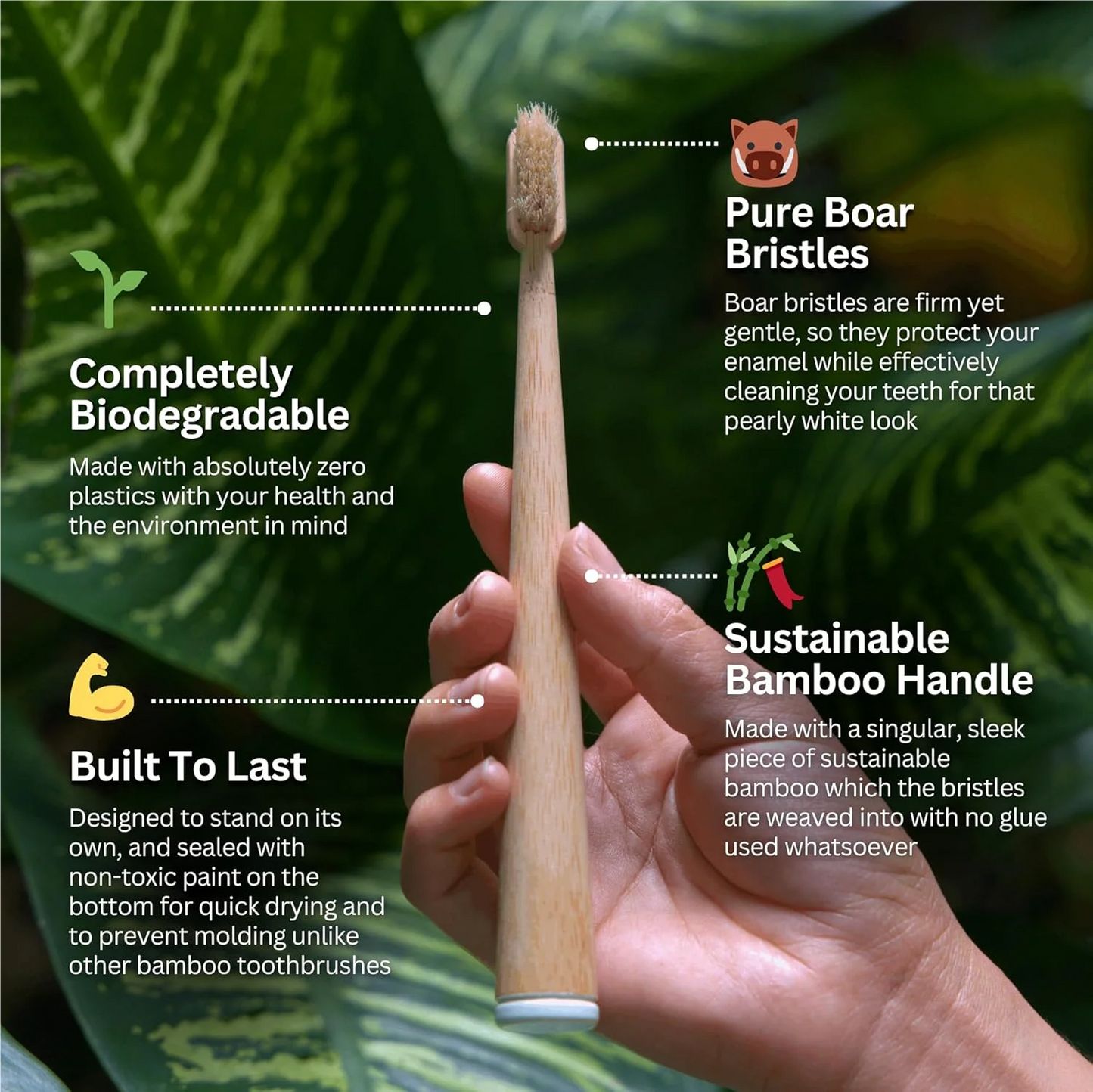 10 PCS Boar Bristles Natural Bamboo Toothbrush