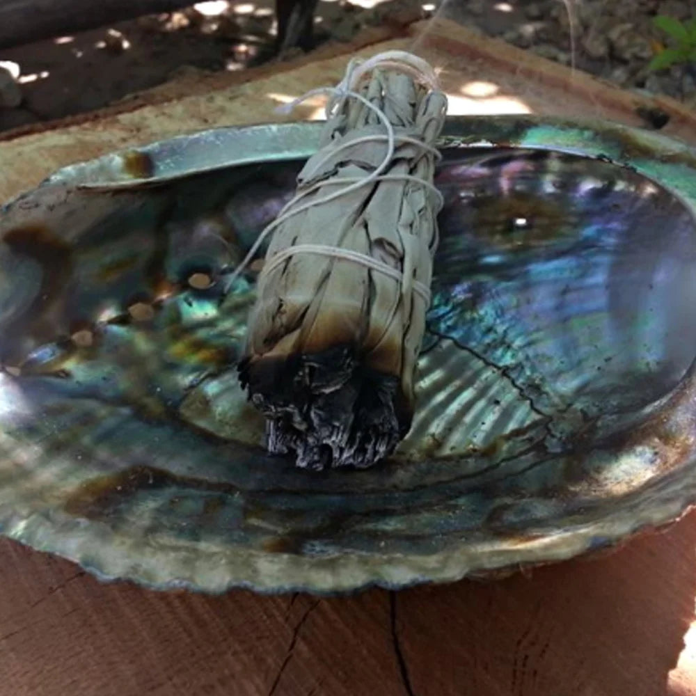 Natural White Sage Grass Bundle Smudge Sticks for Indoor Purification and Home Cleansing Perfect for Yoga and Meditation