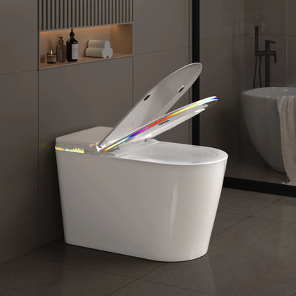 Smart Bidet Toilet Heated Seat Self-Cleaning Nozzle