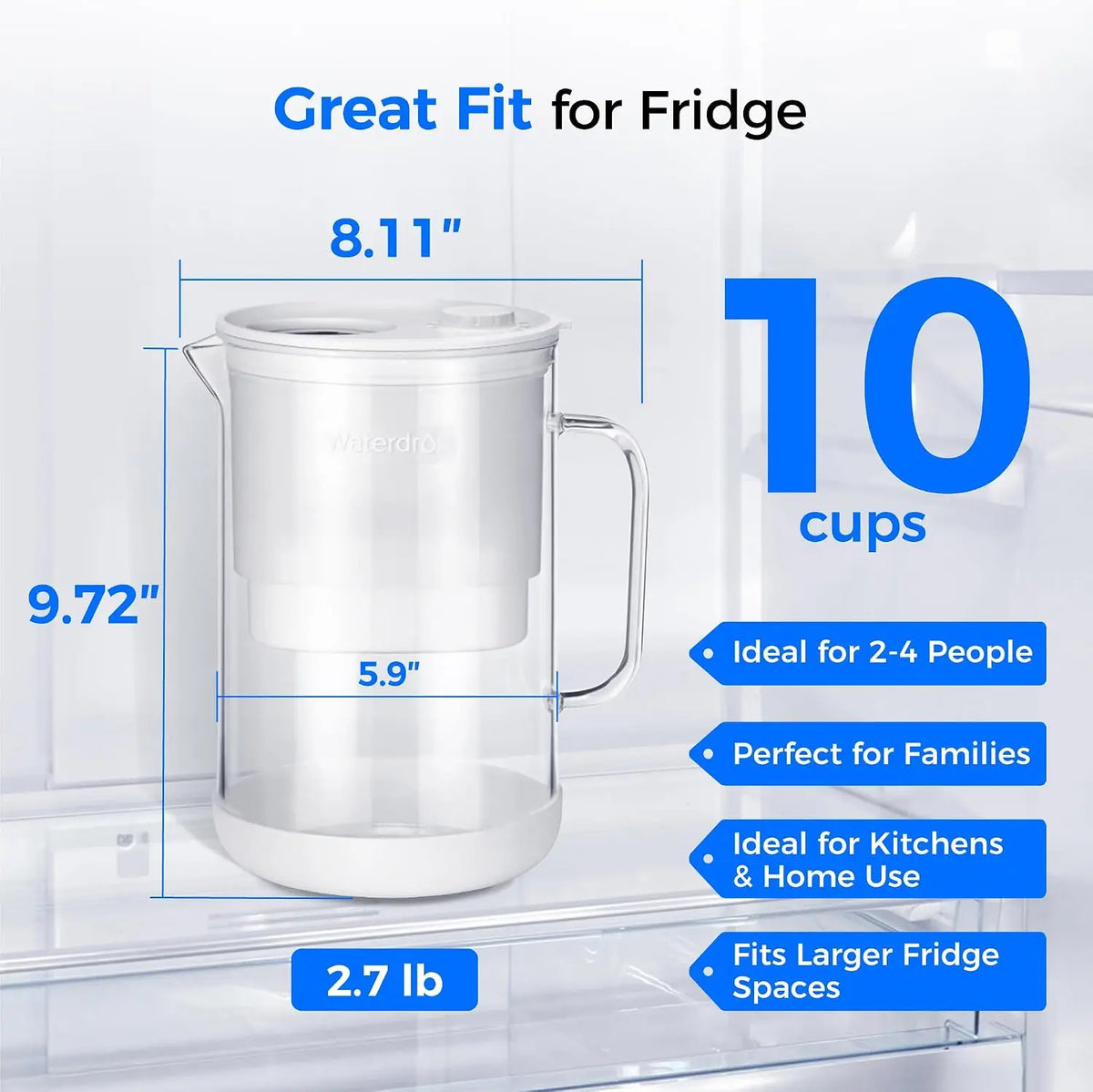 10-Cup Large Glass Water Filter Pitcher