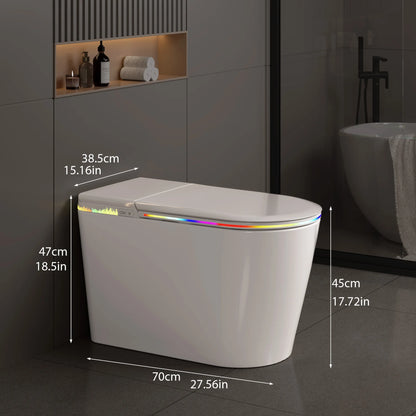 Smart Bidet Toilet Heated Seat Self-Cleaning Nozzle